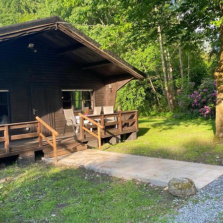 Heidegut Eschede Reitsportanlage Und Feriendorf Esterno foto
