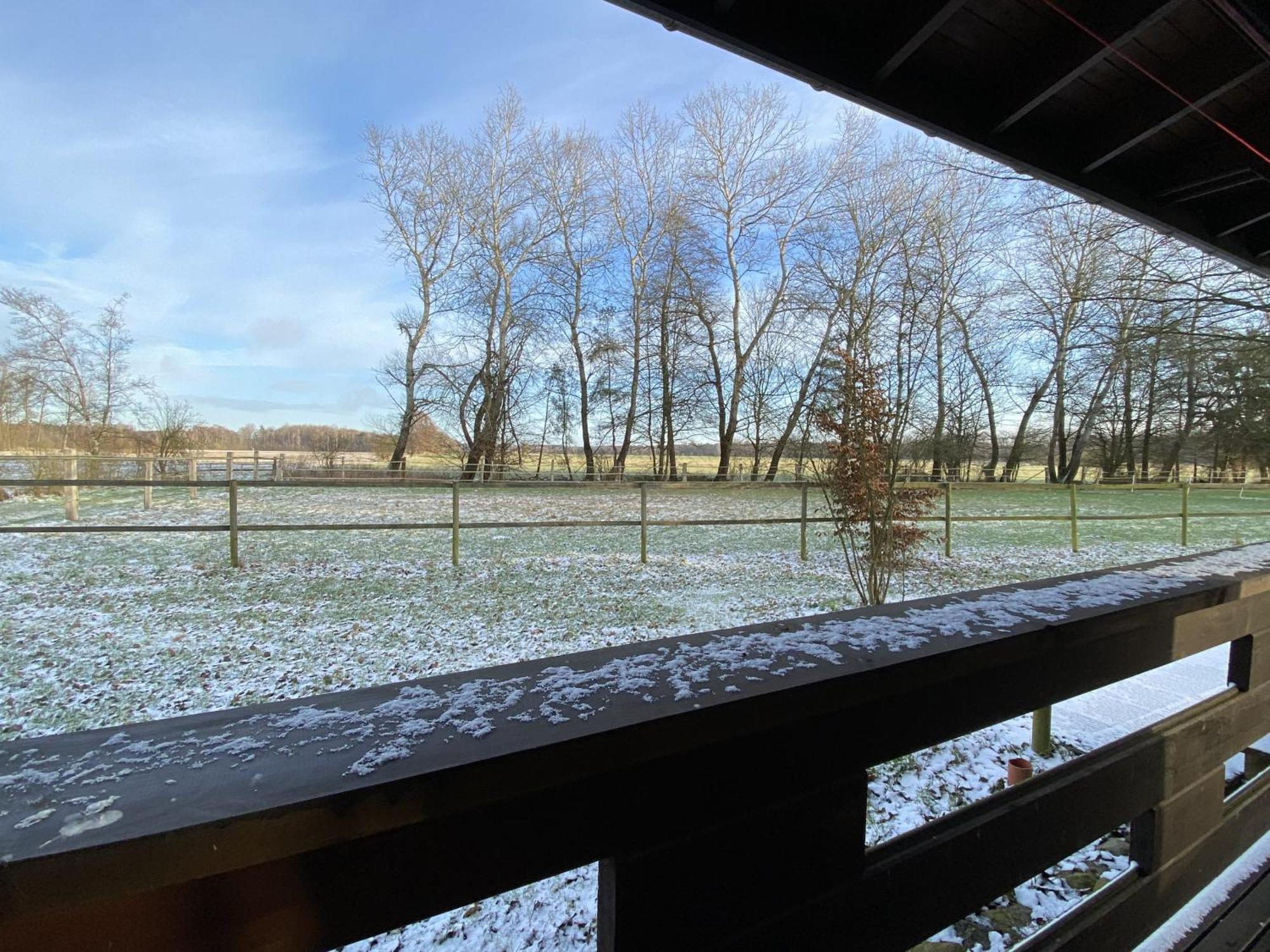 Heidegut Eschede Reitsportanlage Und Feriendorf Esterno foto