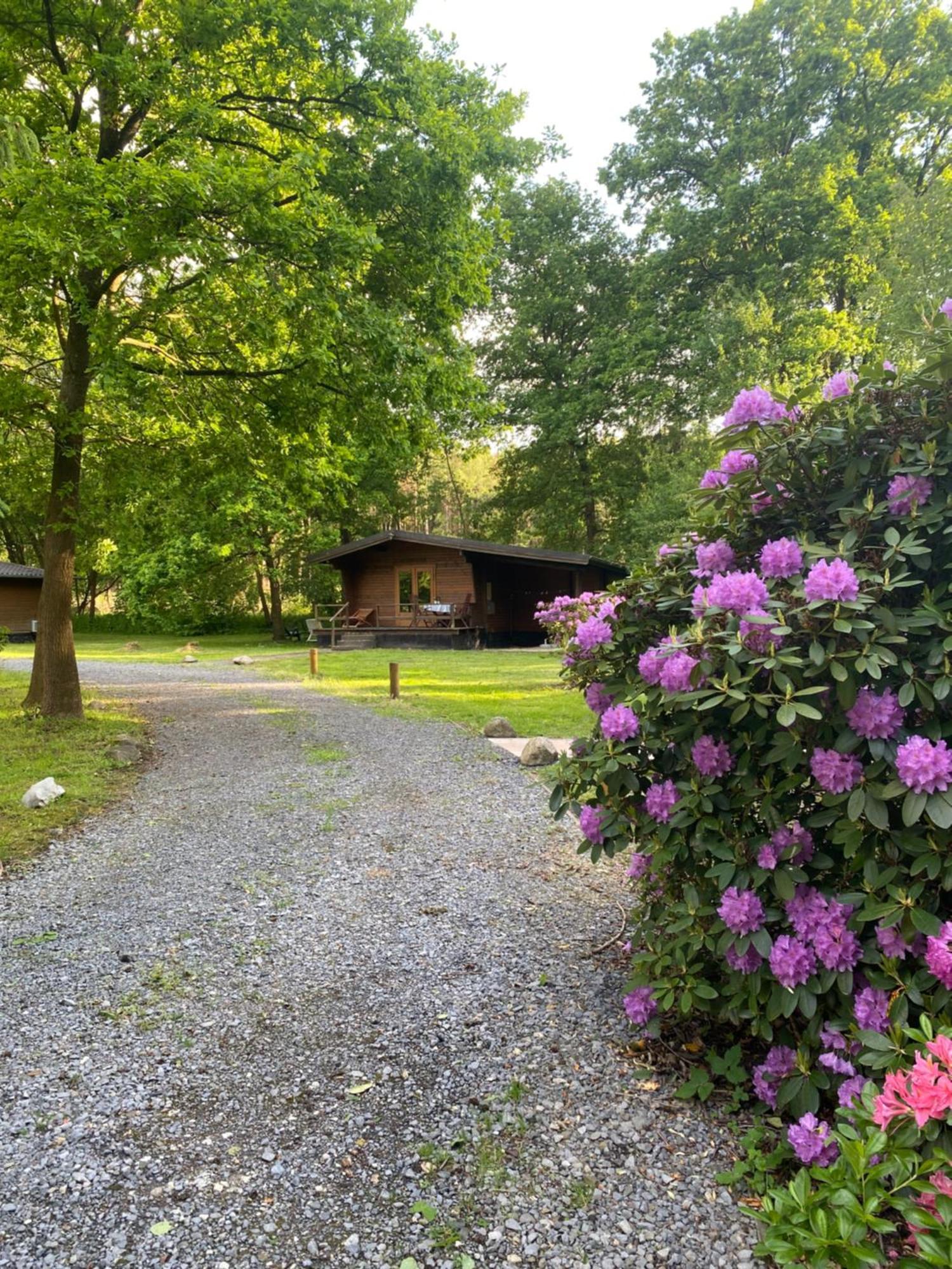 Heidegut Eschede Reitsportanlage Und Feriendorf Esterno foto