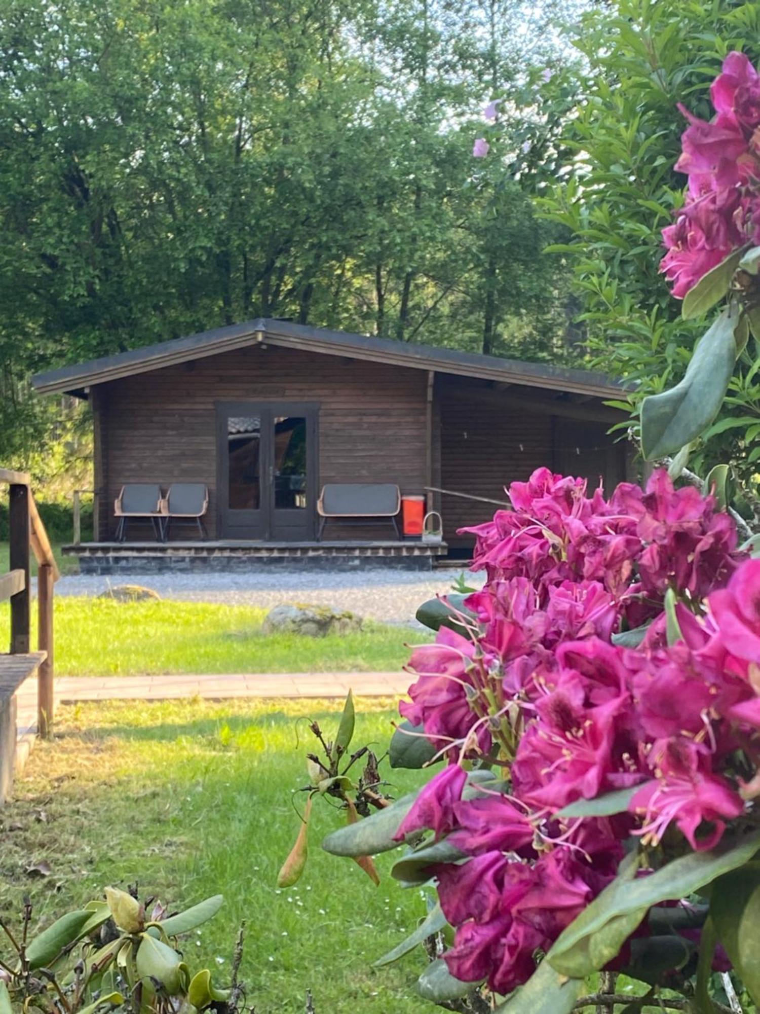 Heidegut Eschede Reitsportanlage Und Feriendorf Esterno foto
