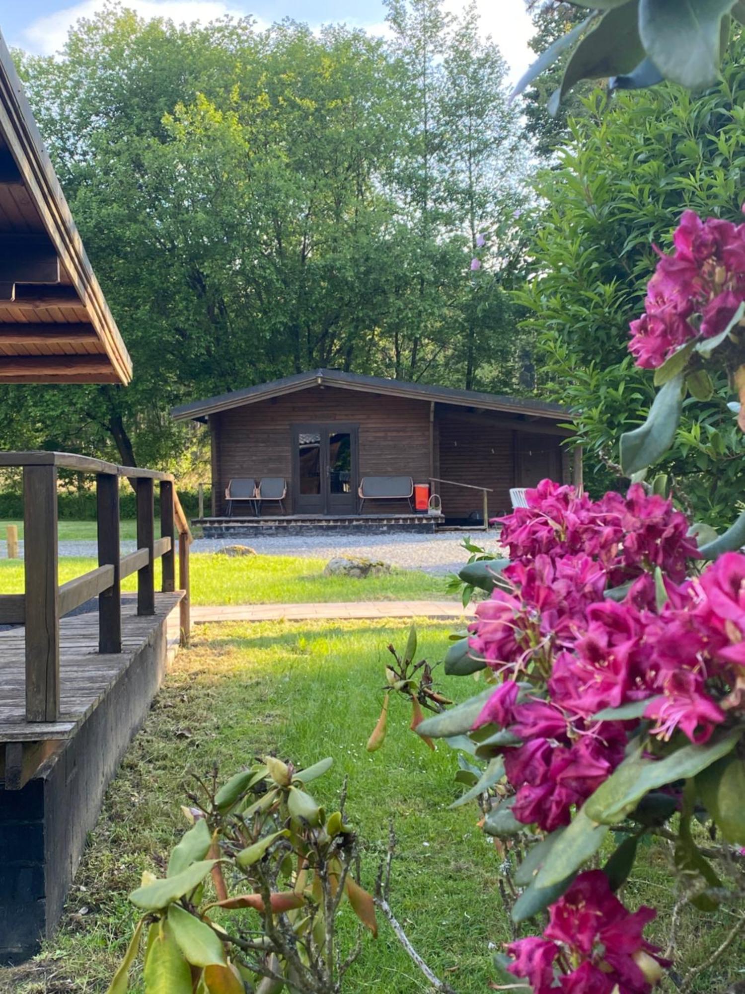 Heidegut Eschede Reitsportanlage Und Feriendorf Esterno foto