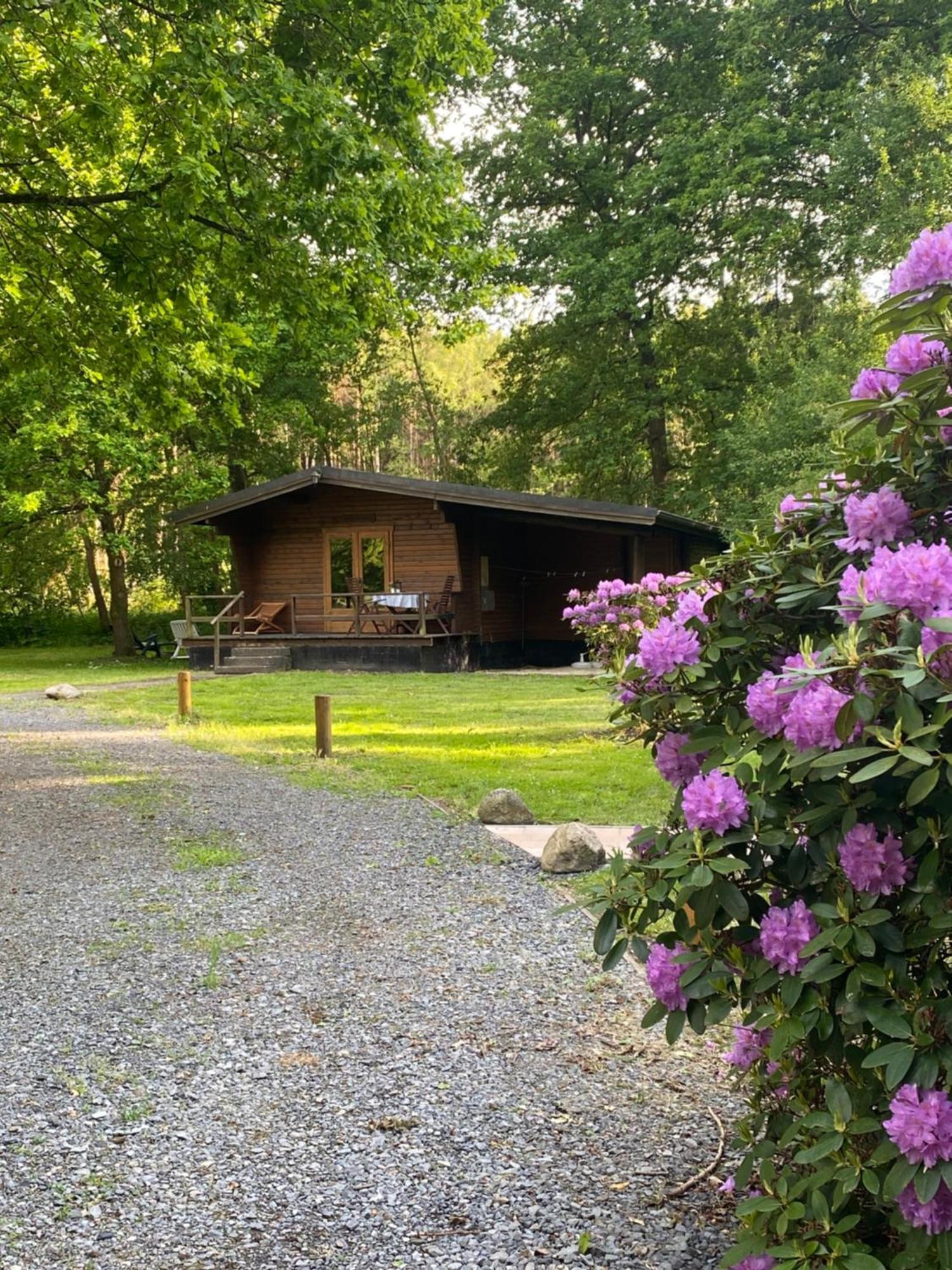 Heidegut Eschede Reitsportanlage Und Feriendorf Esterno foto