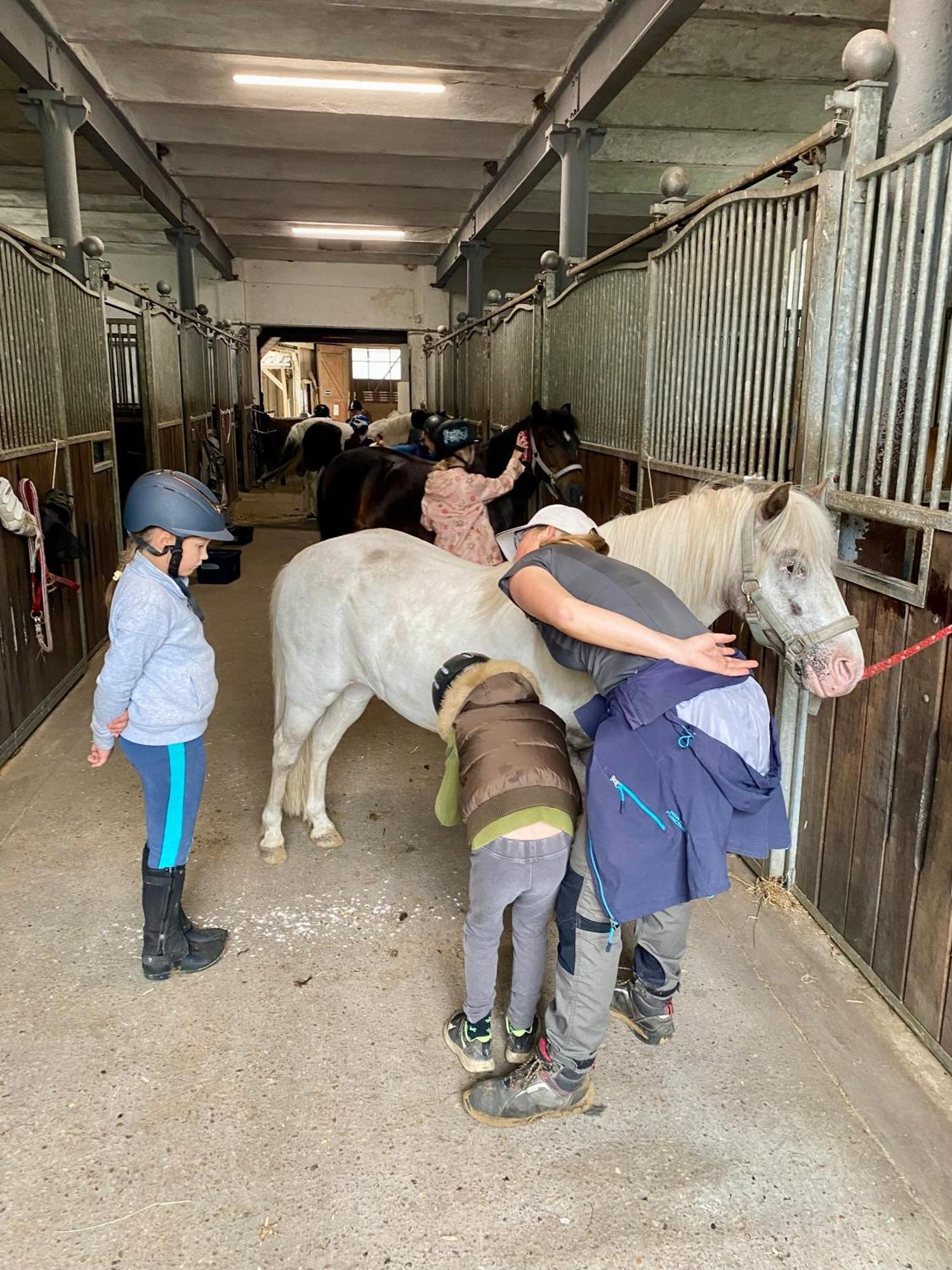 Heidegut Eschede Reitsportanlage Und Feriendorf Esterno foto