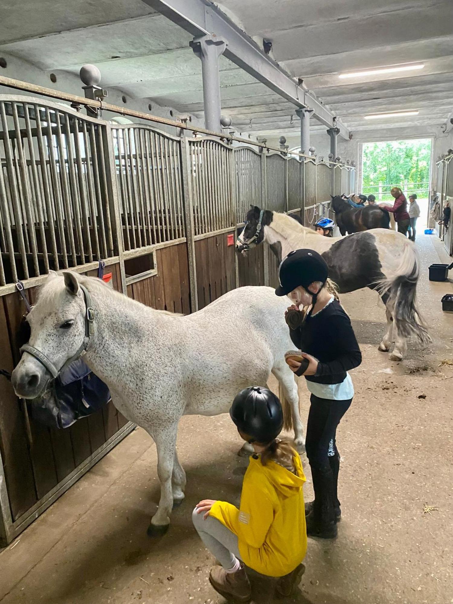 Heidegut Eschede Reitsportanlage Und Feriendorf Esterno foto