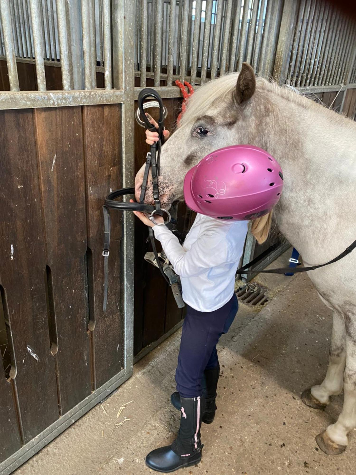 Heidegut Eschede Reitsportanlage Und Feriendorf Esterno foto