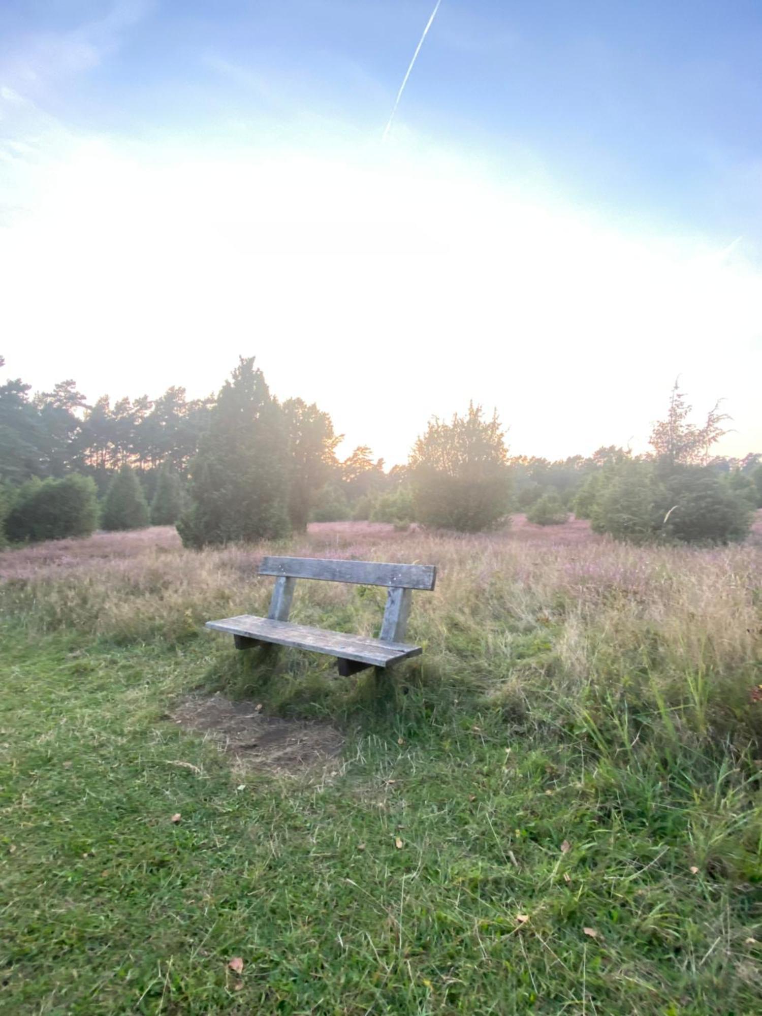 Heidegut Eschede Reitsportanlage Und Feriendorf Esterno foto