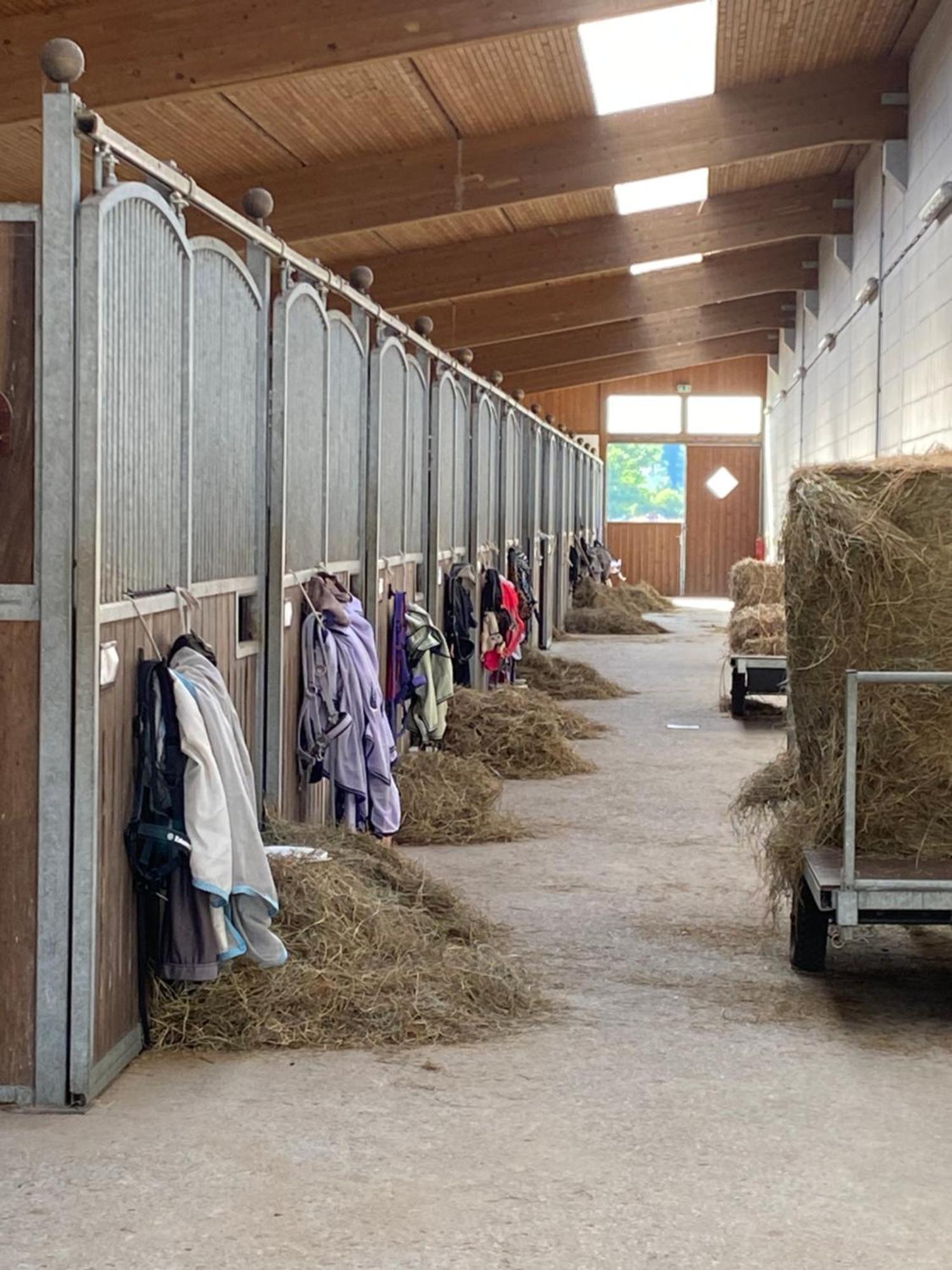 Heidegut Eschede Reitsportanlage Und Feriendorf Esterno foto