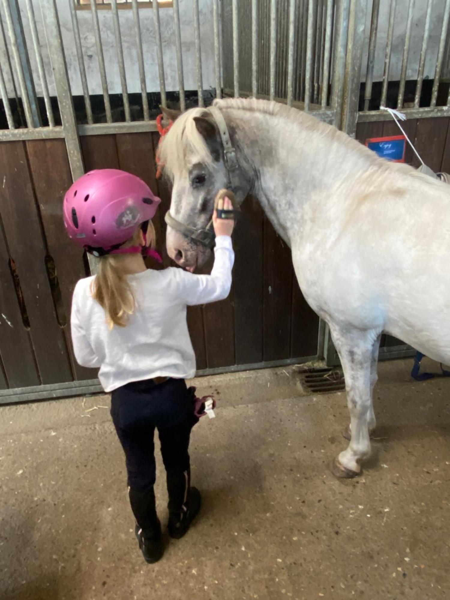 Heidegut Eschede Reitsportanlage Und Feriendorf Esterno foto