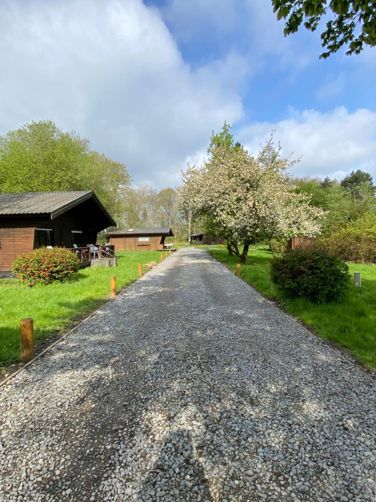 Heidegut Eschede Reitsportanlage Und Feriendorf Esterno foto