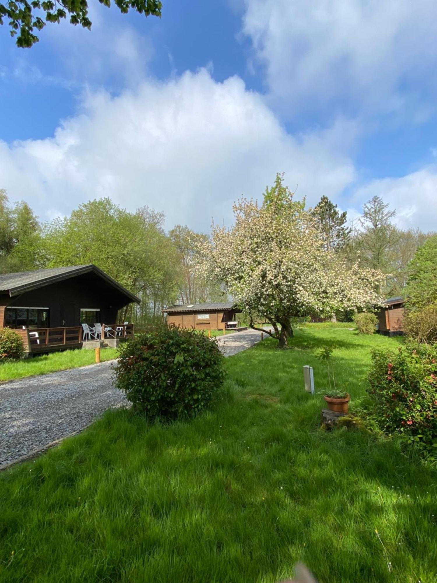 Heidegut Eschede Reitsportanlage Und Feriendorf Esterno foto