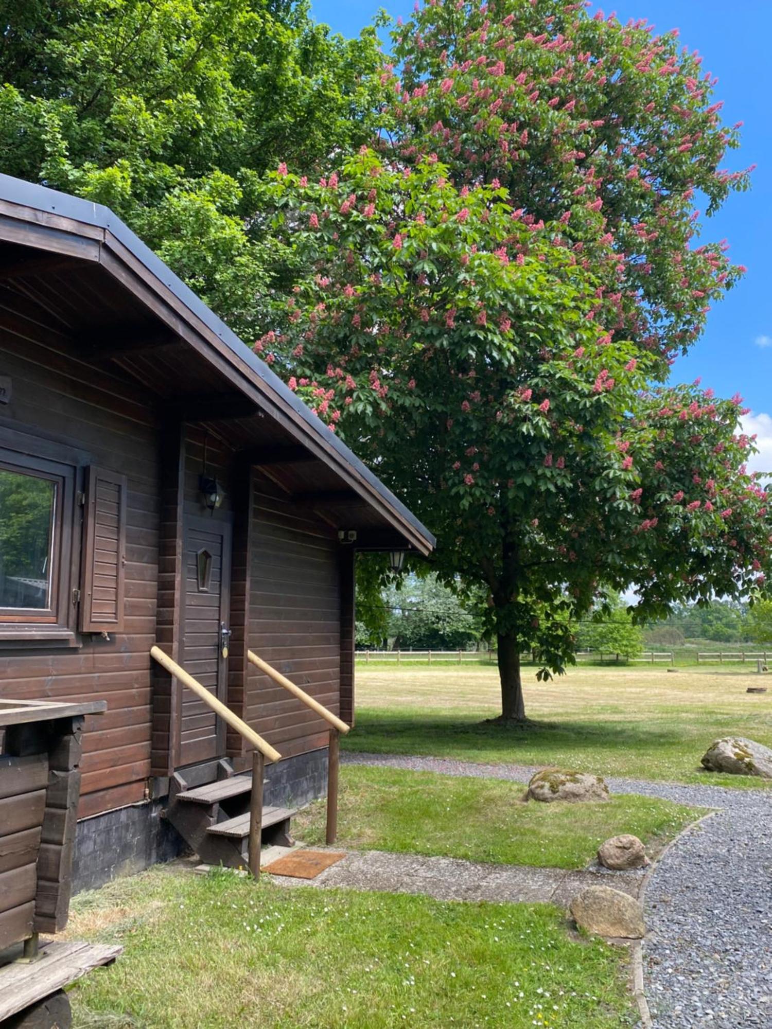 Heidegut Eschede Reitsportanlage Und Feriendorf Esterno foto